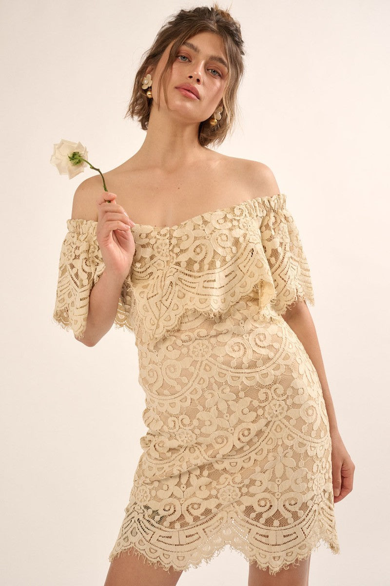 A Lace, Woven Mini Dress Smile Sparker