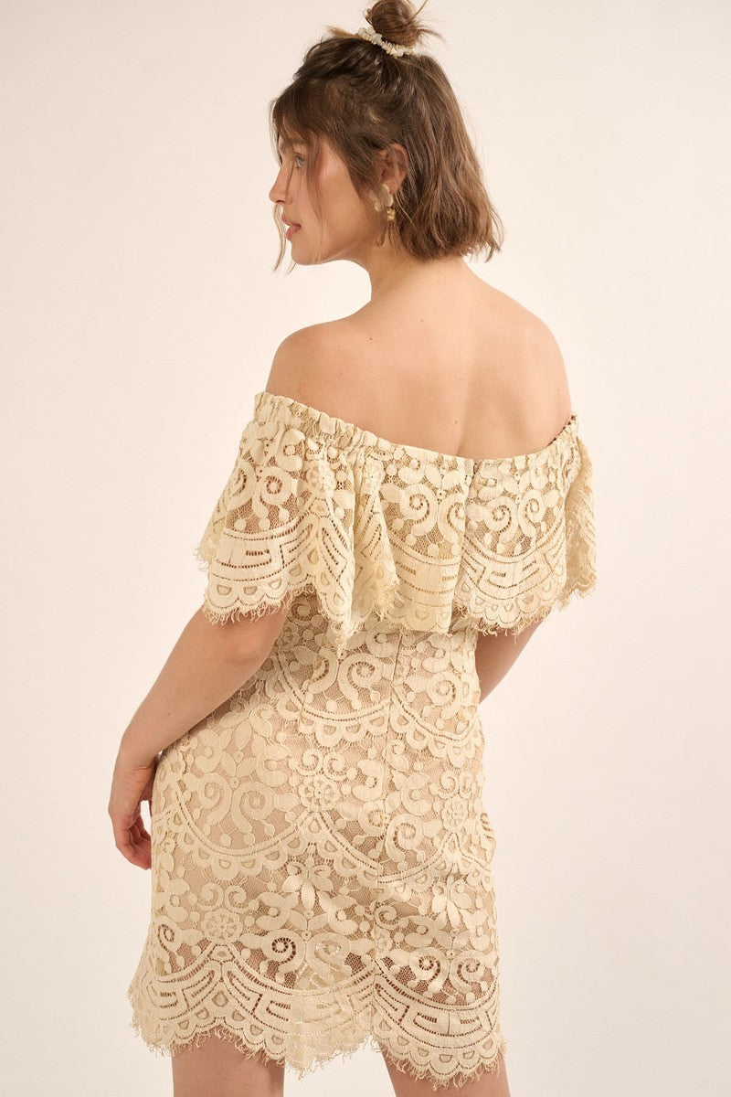 A Lace, Woven Mini Dress Smile Sparker