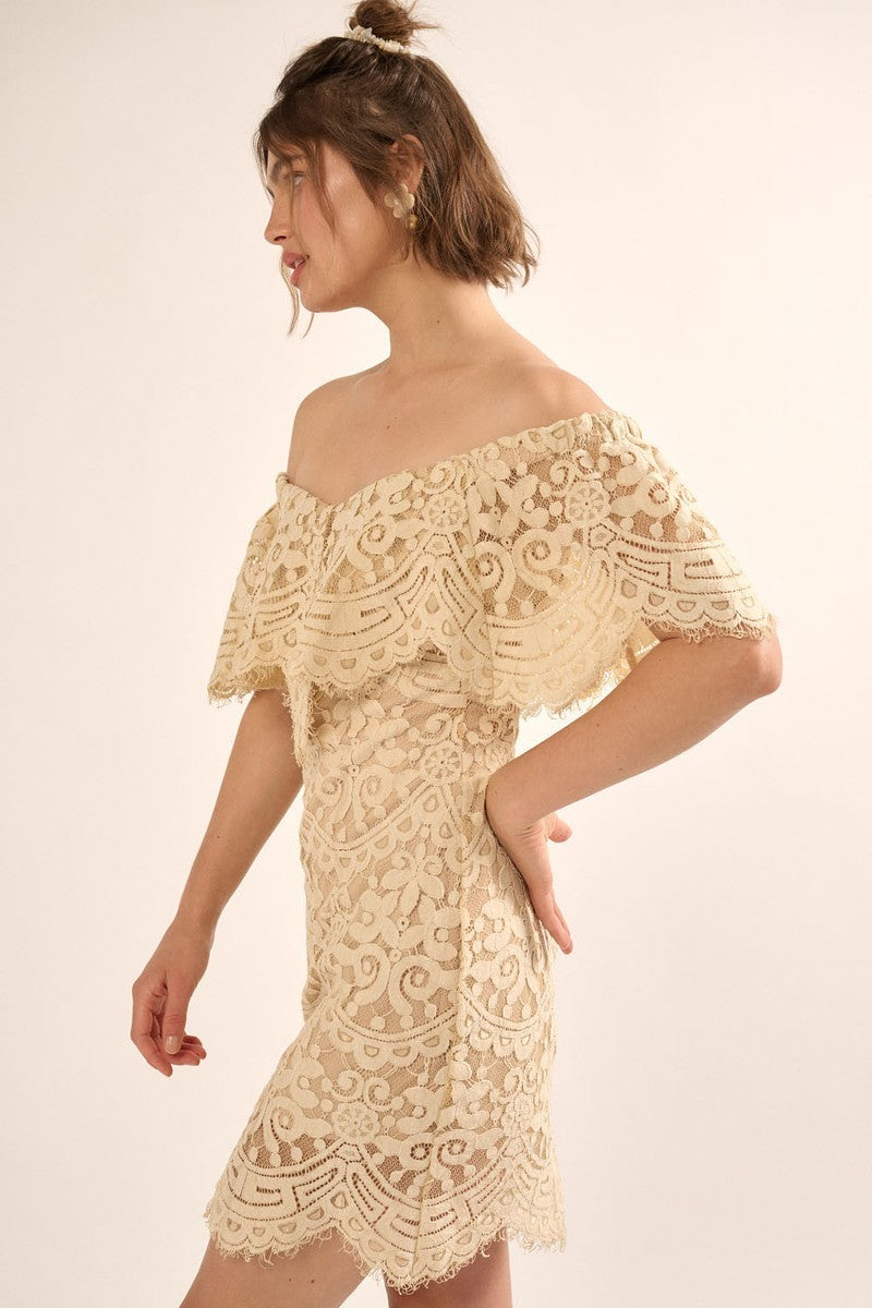 A Lace, Woven Mini Dress Smile Sparker