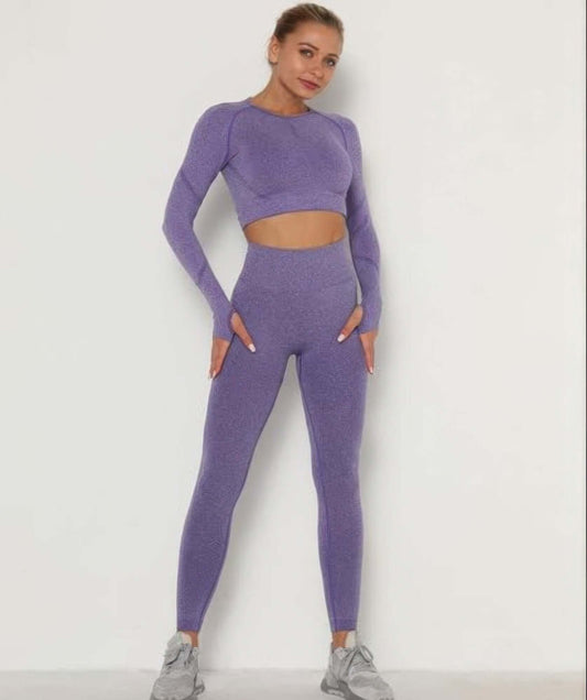 Seralyn Seamless Crop Top Leggings Set Gym Yoga Activewear - Smile Sparker