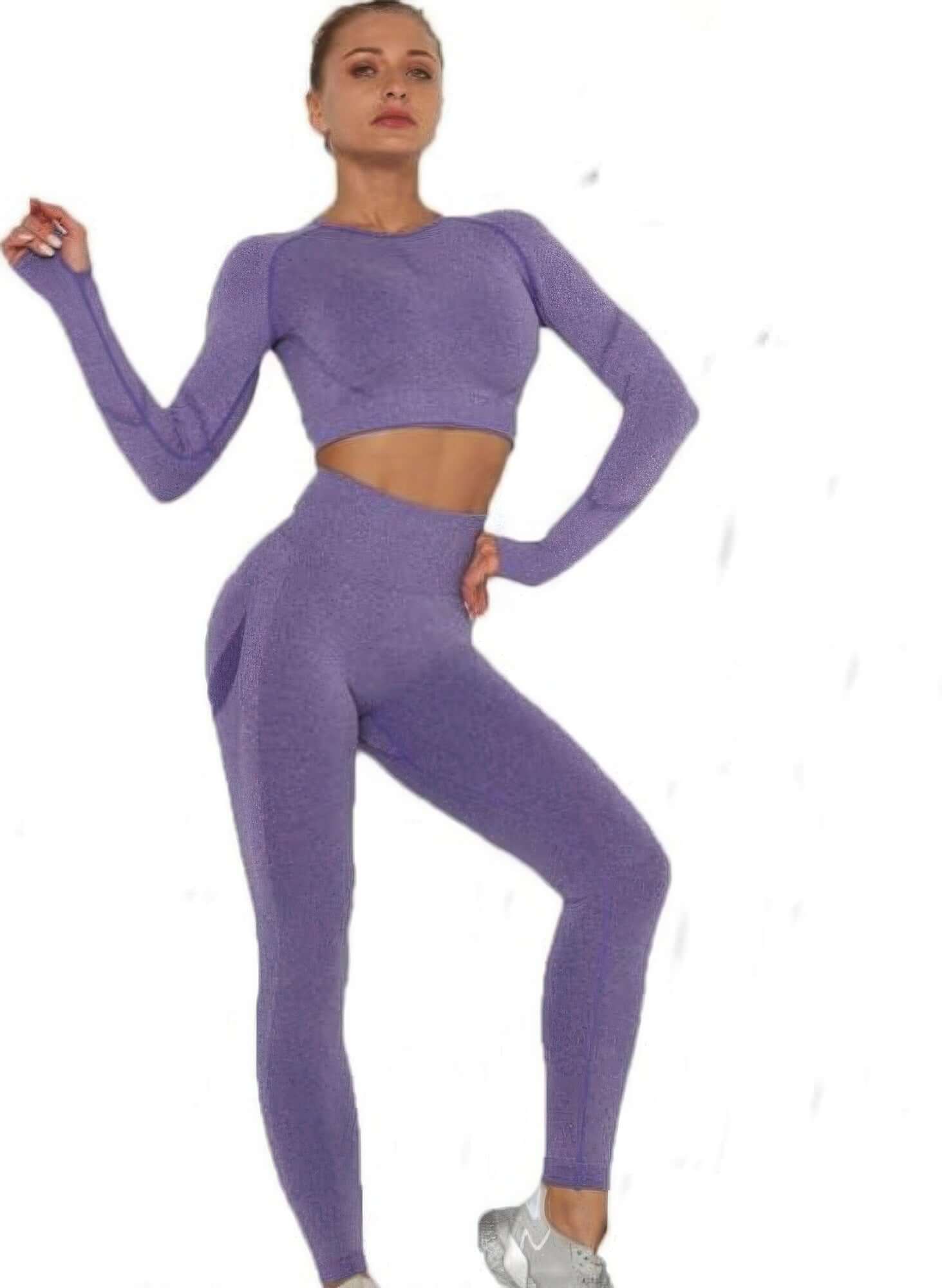 Seralyn Seamless Crop Top Leggings Set Gym Yoga Activewear - Smile Sparker