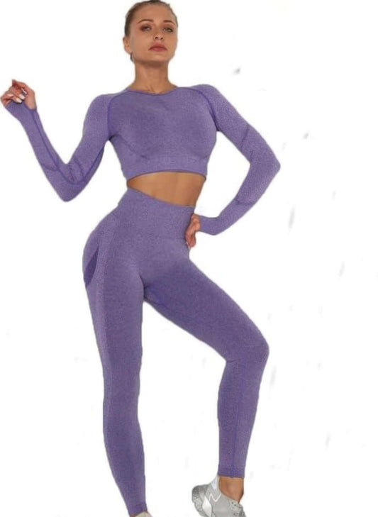 Seralyn Seamless Crop Top Leggings Set Gym Yoga Activewear - Smile Sparker