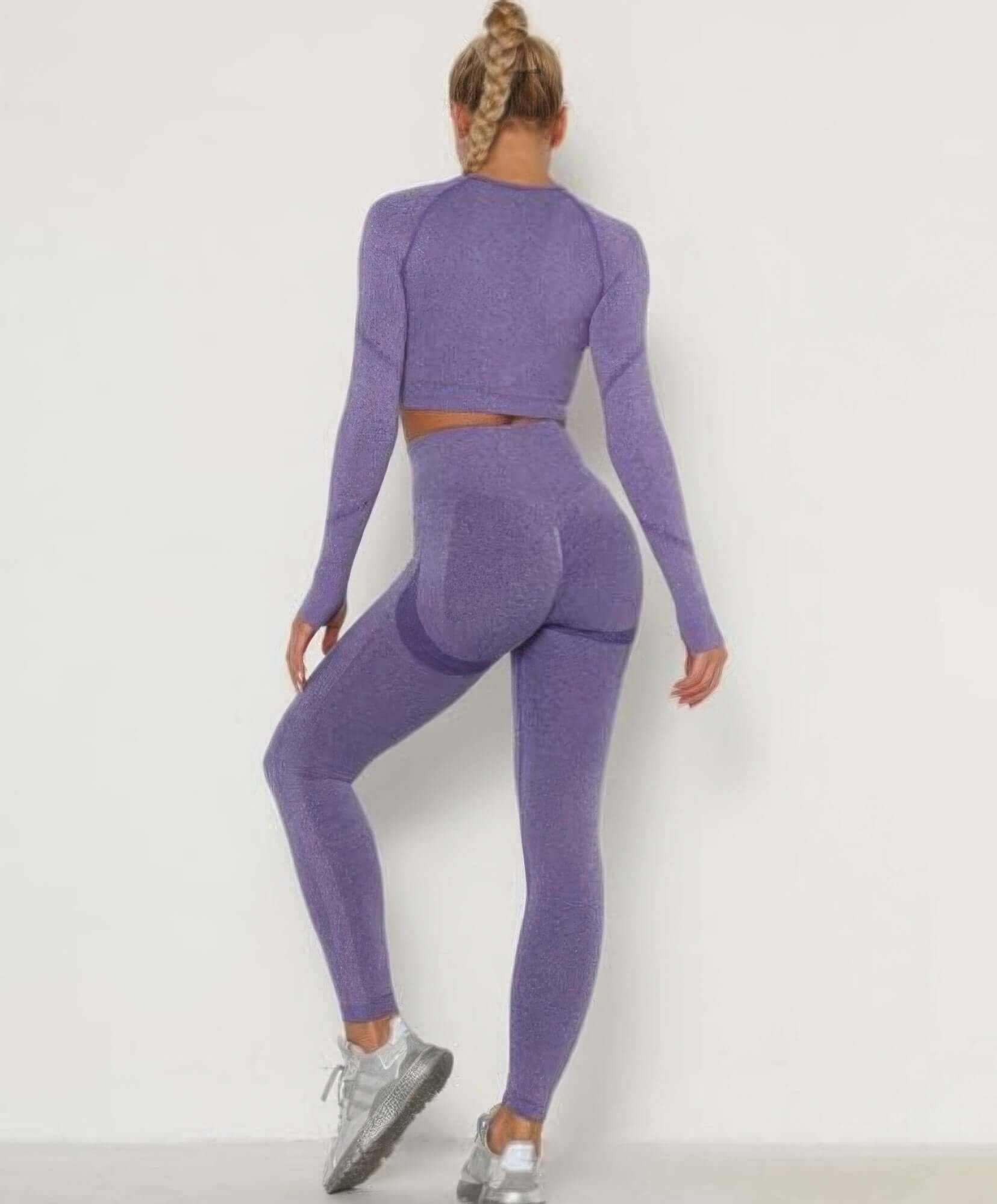 Seralyn Seamless Crop Top Leggings Set Gym Yoga Activewear - Smile Sparker