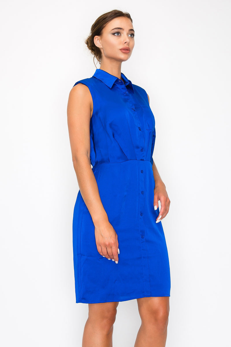 Button-down Pleated Shirt Dress Smile Sparker